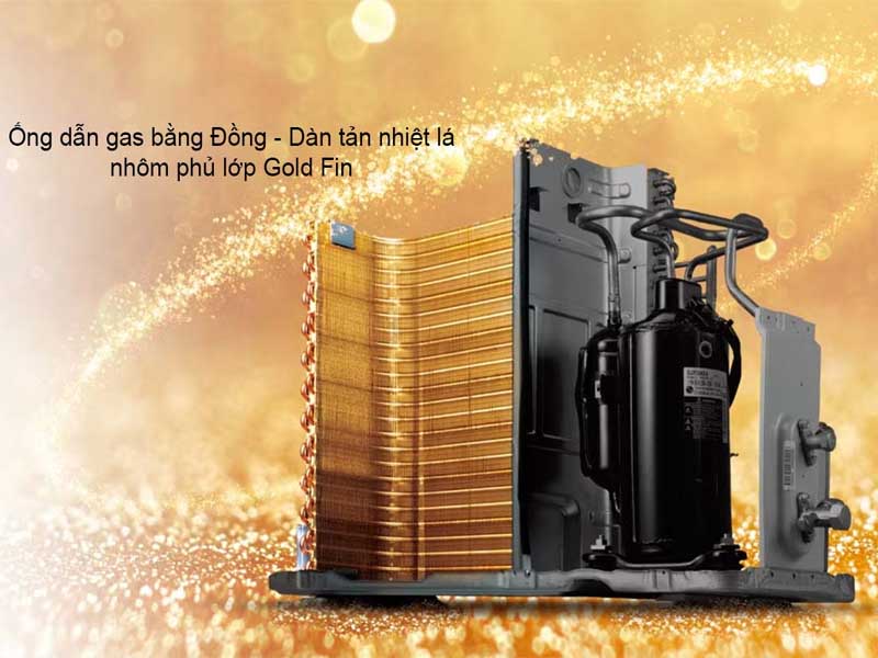 dan tan nhiet phu gold fin 1