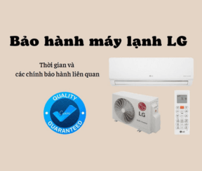 maylanhlgbaohanhtrongbaolau 5940